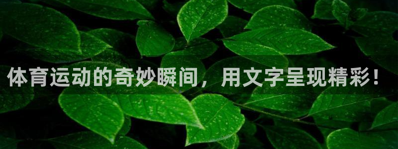 ug环球官网登录入口：体育运动的奇妙瞬间，用文字呈现精彩！