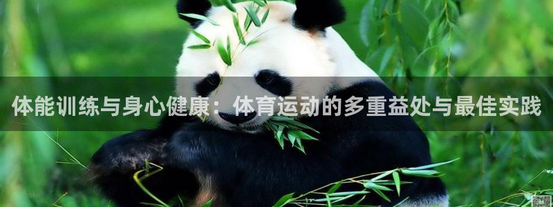 ug环球官网登录入口：体能训练与身心健康：体育运动的多重益处与最佳实践