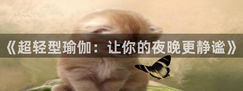 ug环球官网：《超轻型瑜伽：让你的夜晚更静谧》