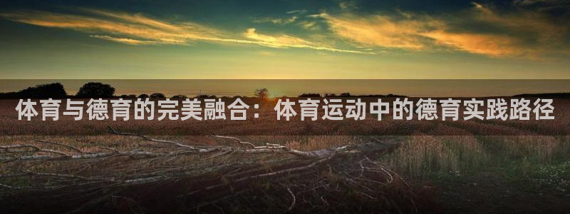 菲律宾ug环球官网：体育与德育的完美融合：体育运动中的德育实践路径