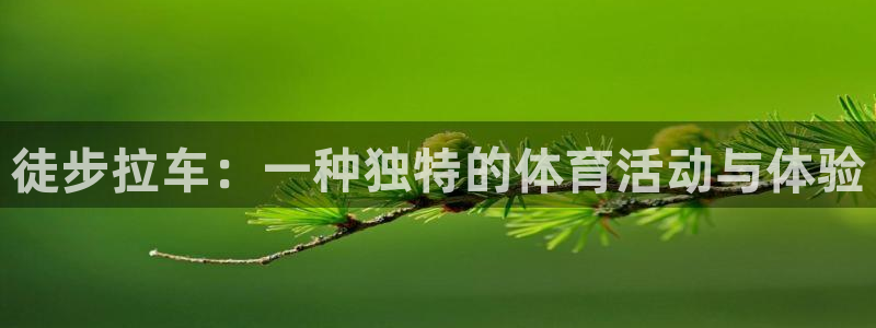ug环球官网注册：徒步拉车：一种独特的体育活动与体验