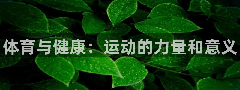 ug环球官网