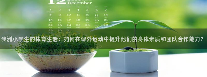 菲律宾ug环球官网：澳洲小学生的体育生活：如何在课外运动中提升他们的身体素质和团队合作能力？