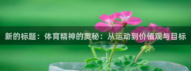 ug环球官网注册：新的标题：体育精神的奥秘：从运动到价值观与目标